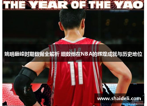 姚明巅峰时期数据全解析 细数他在NBA的辉煌成就与历史地位